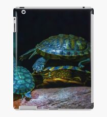 turtle iPad Case/Skin