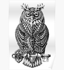 Great Horned Owl Poster
