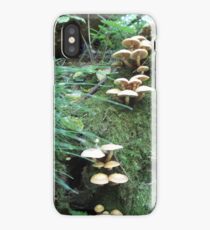 Where Fairies Play iPhone Case