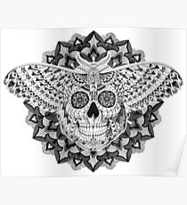 Skull Moth Poster