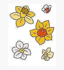 Colorful Daffodils Photographic Print