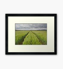 Lothian Lines Framed Print