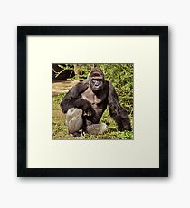 Harambe Framed Print