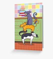 Cats Birthday Greeting Card