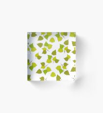 Birch leaves Acrylic Block