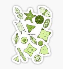 More Diatoms Sticker