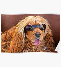Joe Cool Poster