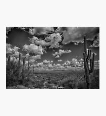 Desert Vista Photographic Print