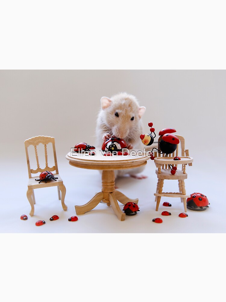 The Ladybird collection by Ellen