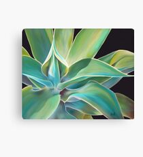 Blue Agave Canvas Print