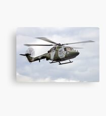 Westland Lynx Metal Print