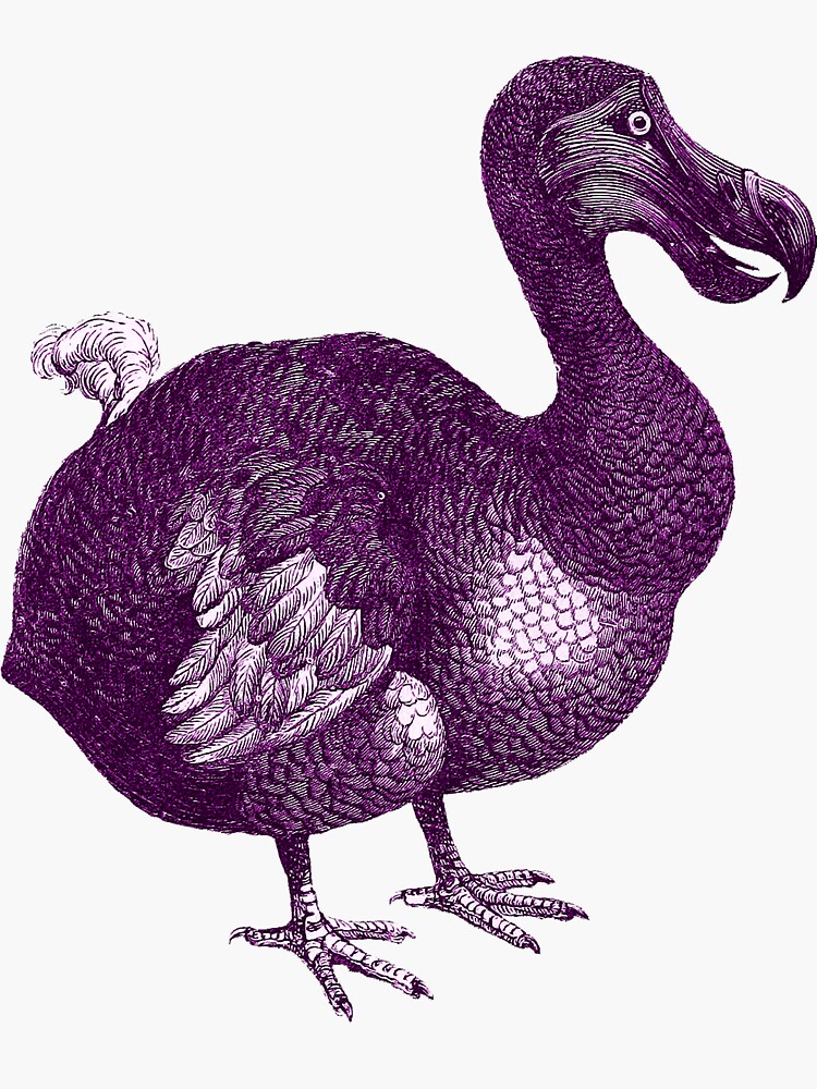 retro dodo