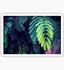 Green garden 3 Sticker