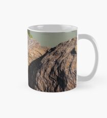 Striations Mug