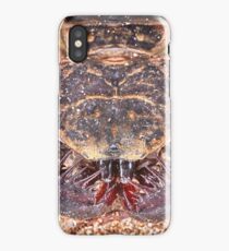 Paraphrynus Pococki iPhone Case