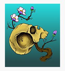 Garden Photographic Print