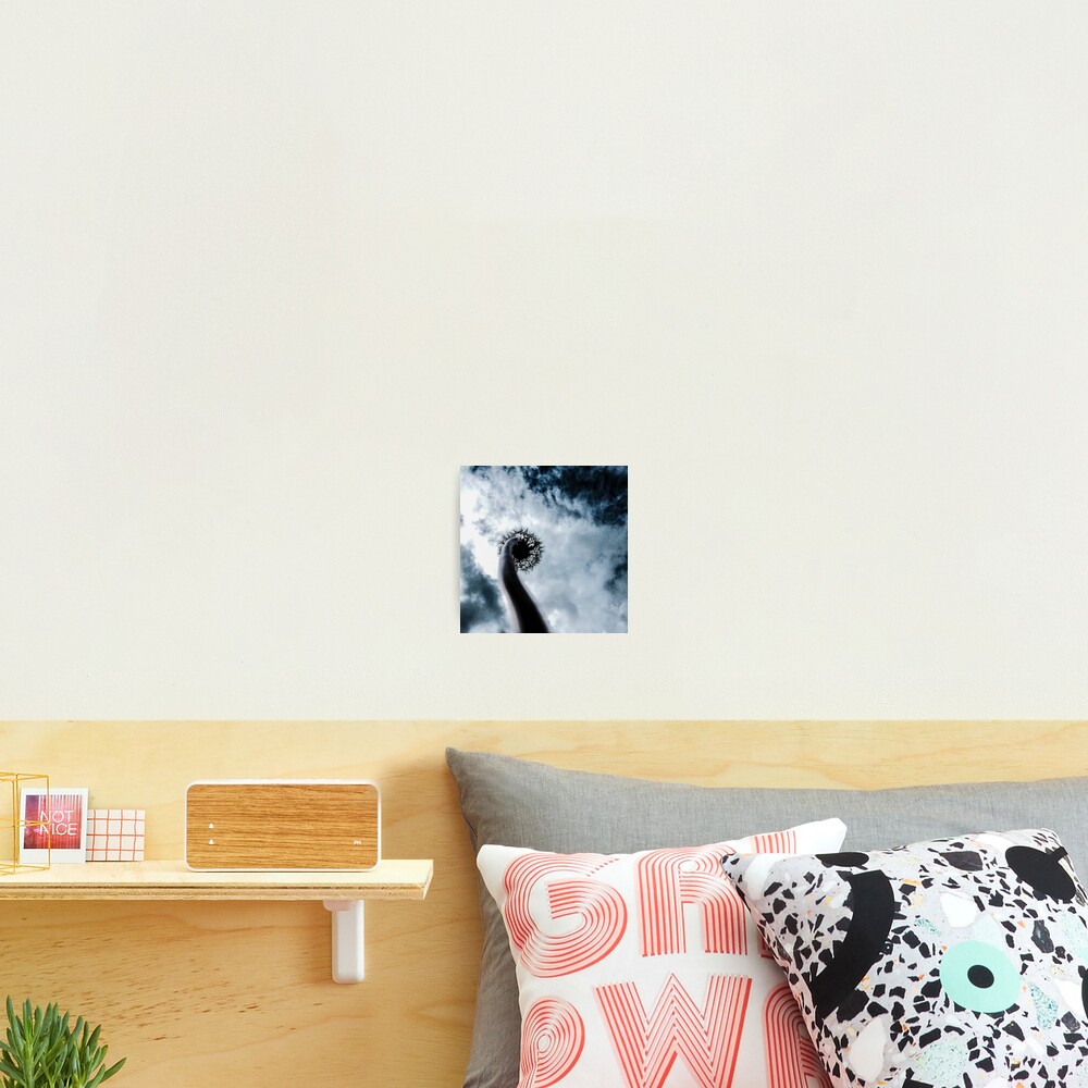 Up No. 2 Photographic Print