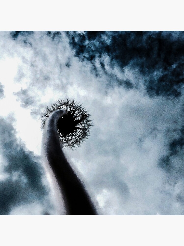 Up No. 2 by matthewsiller