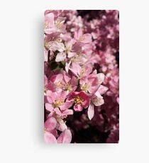 Bloom Canvas Print