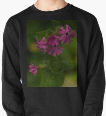 Pink Campion in Prehen Woods, Derry Pullover