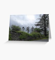 A Soft Irish Day Greeting Card