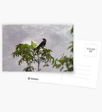 Bye, Bye, Blackbird Postcards