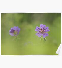 In the meadow Poster