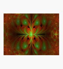 Metamorphosis Photographic Print
