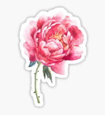 Watercolor peony Sticker