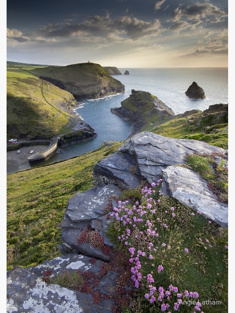Cornwall : Boscastle Harbour by AngelaBarnett