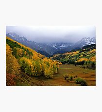 Little Meadow of the Sublime Photographic Print