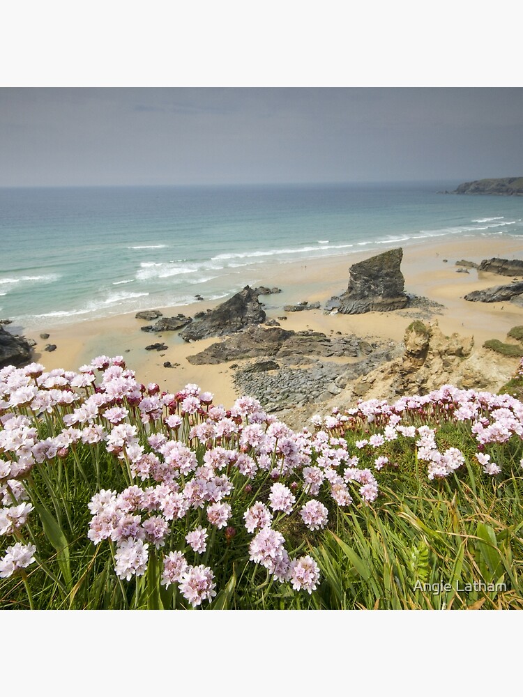 Cornwall - Bedruthan Steps by AngelaBarnett