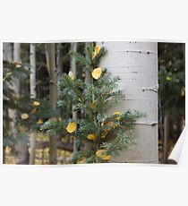 Two Trees in Love Poster