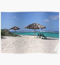 Loblolly Bay Poster