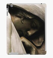 Shiloh Battlefield-38679 iPad Case/Skin