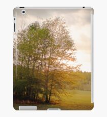 Shiloh Battlefield-0557449 iPad Case/Skin