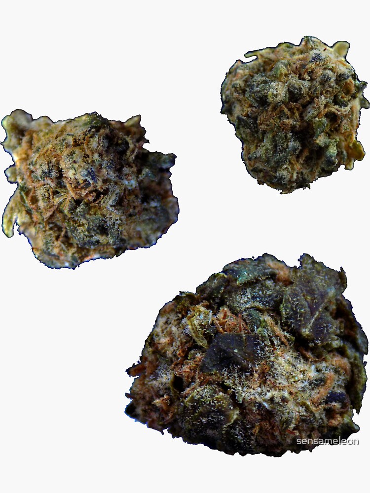 "Banana Kush 5" Sticker by sensameleon Redbubble