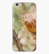 Dry Cirsium Vulgare iPhone Case