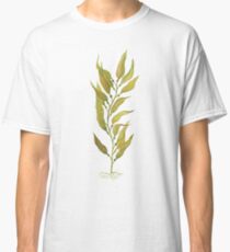 watercolour kelp Classic T-Shirt