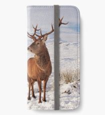Deer Stag in the snow iPhone Wallet/Case/Skin