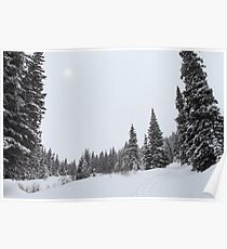The Season of White Poster