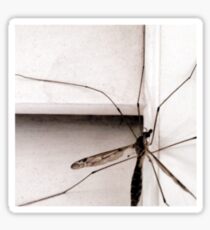 insect Sticker