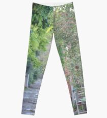 Elwood laneway Leggings