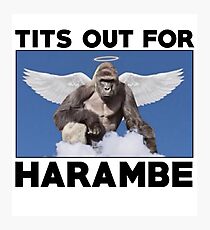 Tits out for HARAMBE Photographic Print