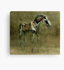 Wooden Horse Canvas Print