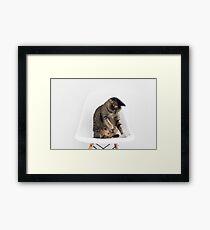 Cute Cat Playing Framed Print