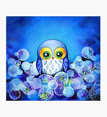 Lunar Owl Photographic Print
