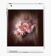Spring Secret iPad Case/Skin