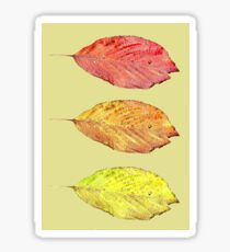 Falling leaves Sticker