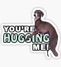 Youre Hugging Me! - Kermit, Jenna Marbles Sticker
